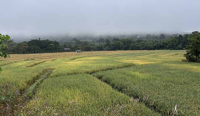 Pai Countryside