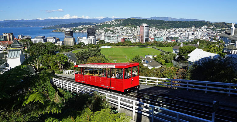 Where to stay in Wellington for first time